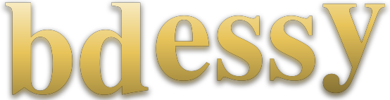 bdessy logo